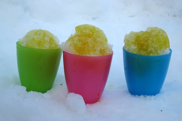 Hawaiian Shaved Ice Flavor Pack of Snow Cone Syrup, Pints